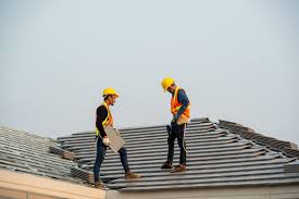 Roof Moss and Algae Removal in Radcliff, KY